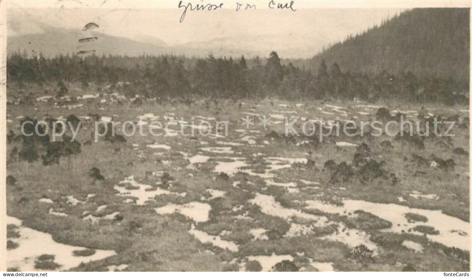 73304156 Wrangell_Alaska Panorama - Other & Unclassified