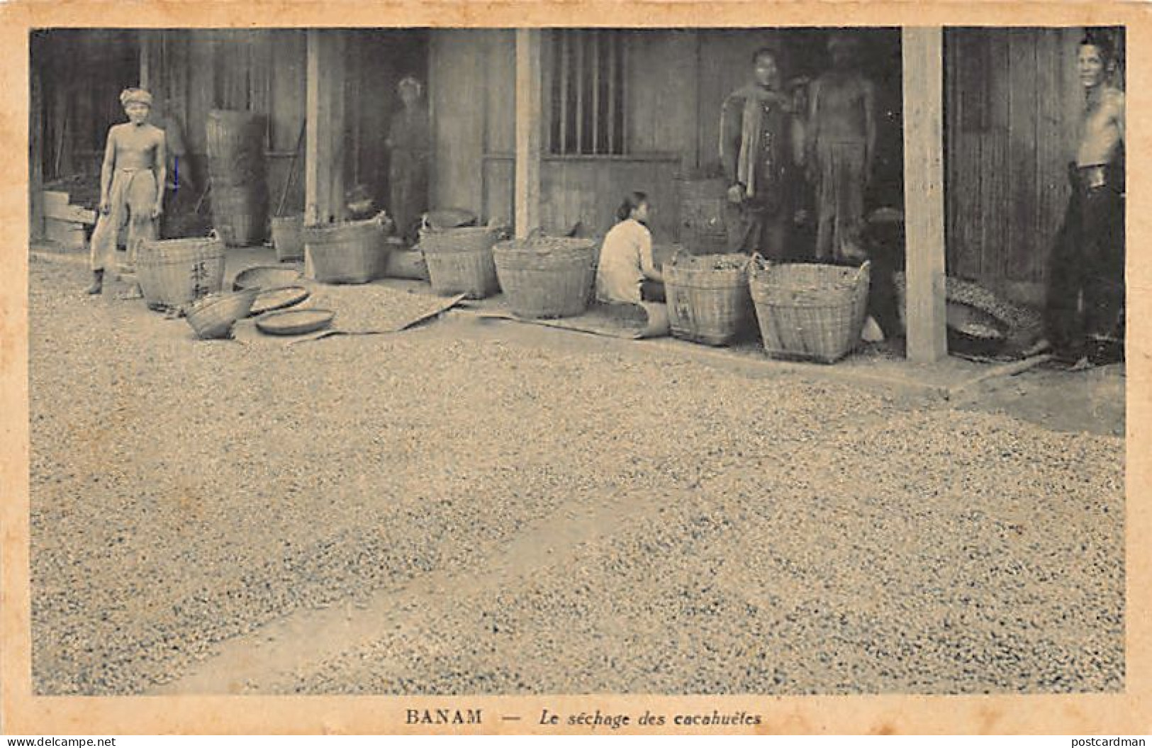 Viet Nam - BANAM - Le Séchage Des Cacahuètes - Ed. Nadal 215 - Viêt-Nam