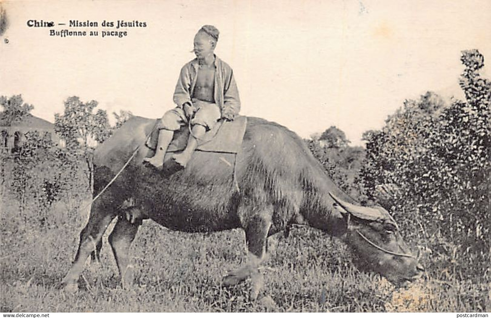 China - Buffalo Grazing - Publ. Mission Of French Jesuits - Cina