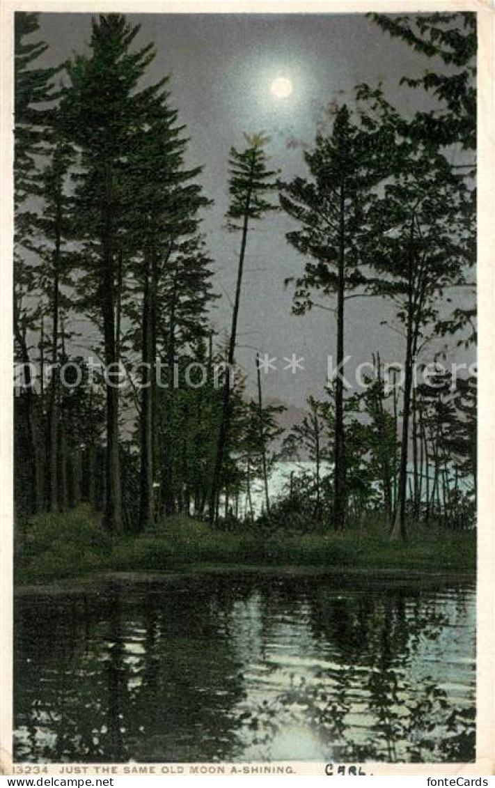 73301800 Wrangell_Alaska Landschaftspanorama Im Mondschein - Otros & Sin Clasificación