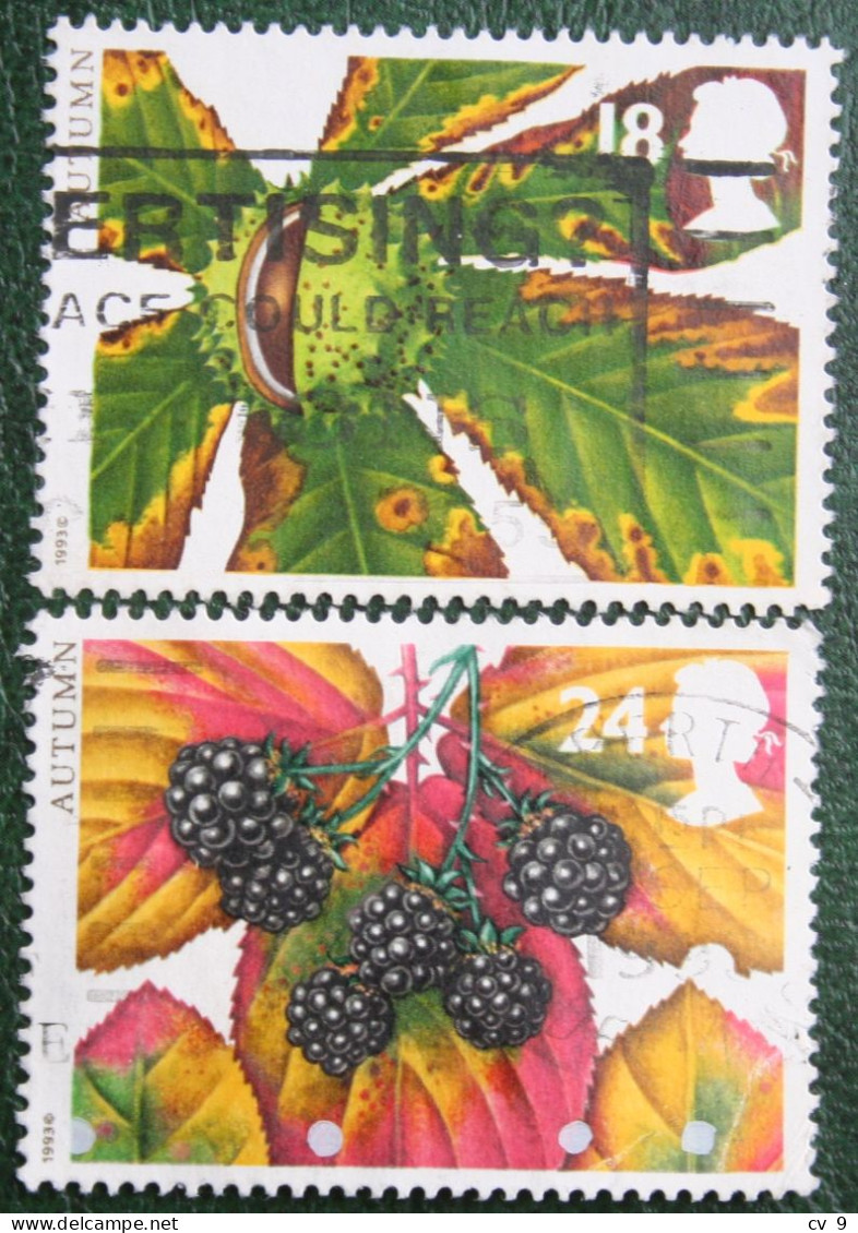 Autumn FRUIT (Mi 1463-1464) 1993 Used Gebruikt Oblitere ENGLAND GRANDE-BRETAGNE GB GREAT BRITAIN - Used Stamps