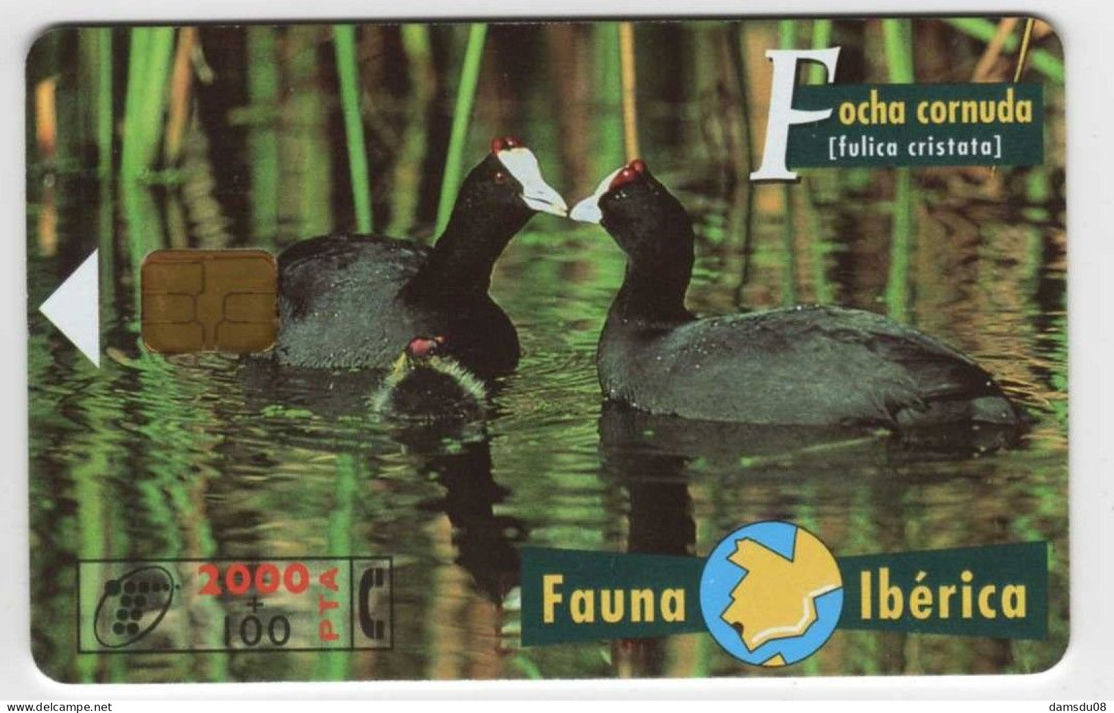 Espagne 2000 PTA Fauna Iberica Focha Cornuda 03/98 500.000 Exemplaires Vide Oiseau - Emissions Basiques