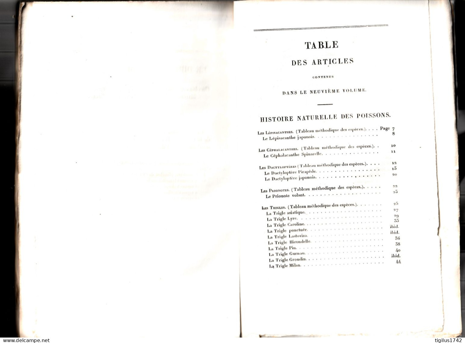 Œuvres Du Comte De Lacépède. Tome IX. Poissons V. Pillot éd., Paris, 1832 - 1801-1900