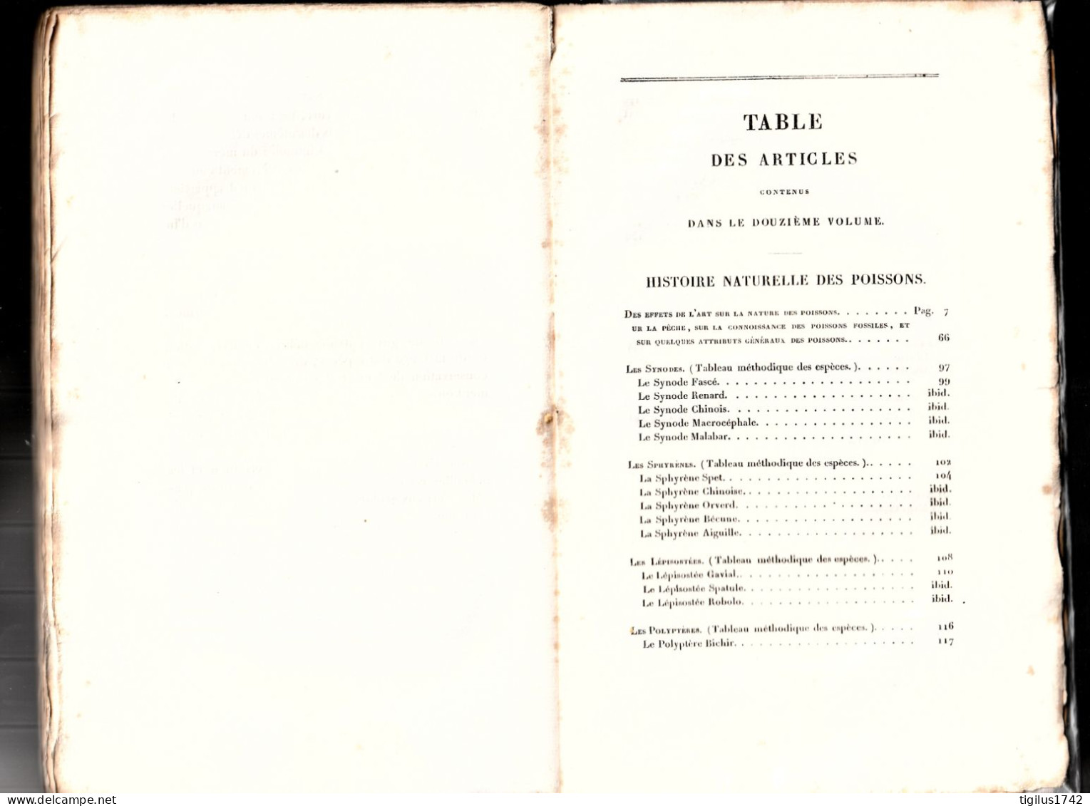 Œuvres Du Comte De Lacépède. Tome XII. Poissons VIII. Pillot éd., Paris, 1833 - 1801-1900