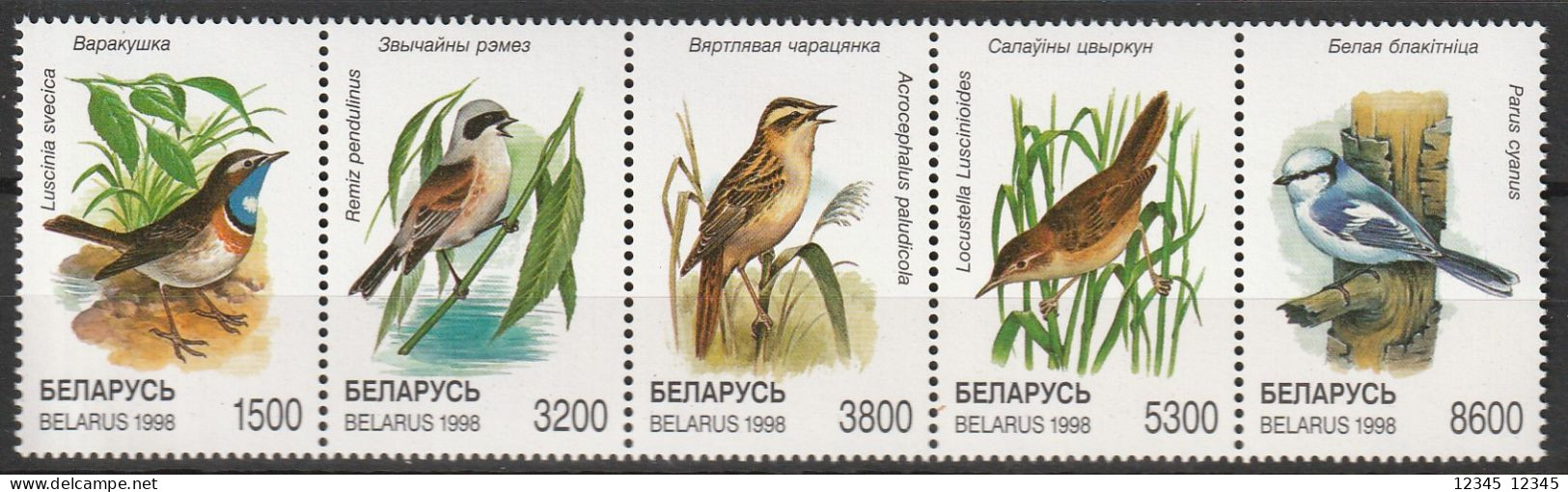 Wit Rusland 1998, Postfris MNH, Birds - Wit-Rusland