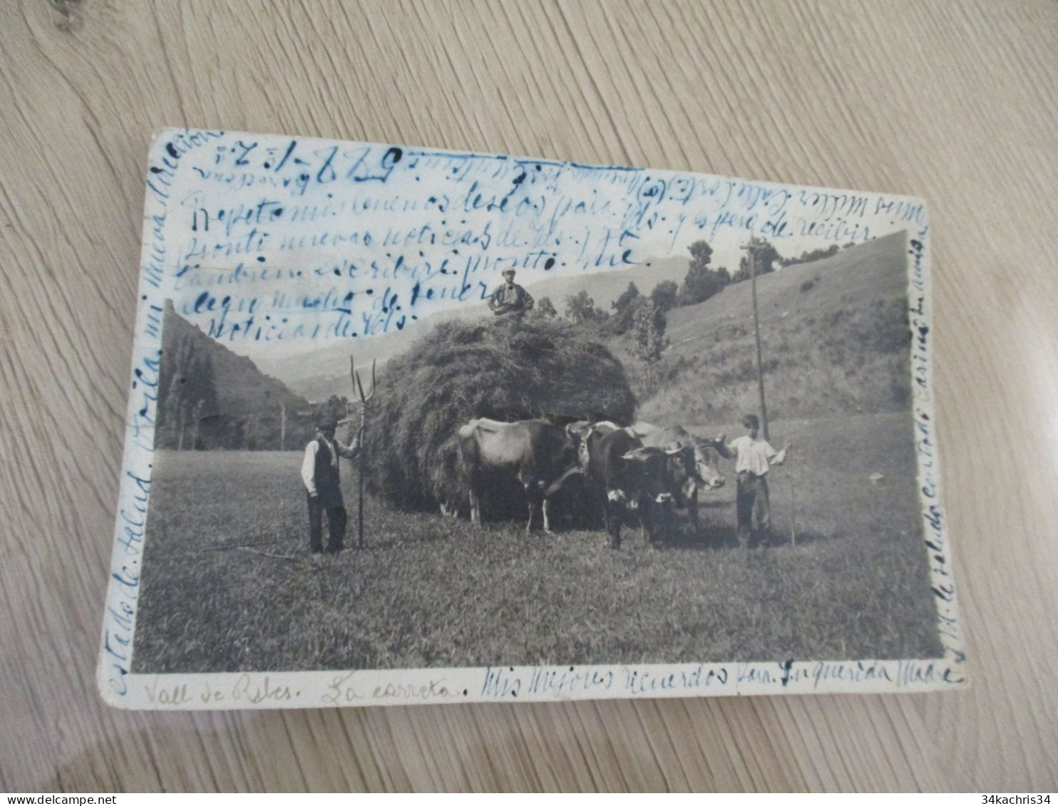 Carte Photo Espagne Spana Vall E Ribes La Carreta Agriculture Fenaison Attelage - Other & Unclassified