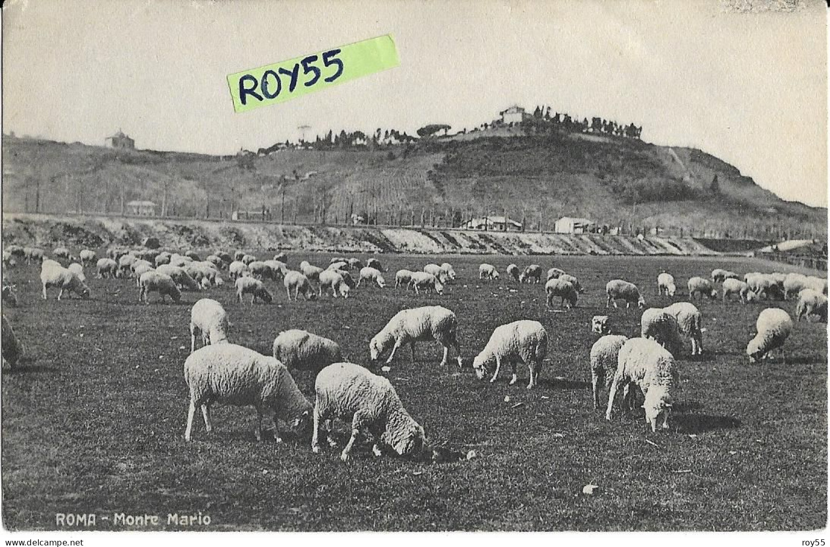 Lazio-roma Quartiere Monte Mario Veduta Panoramica Del Monte Pascolo Pecore  Anni 20 30 (f.piccolo) - Mehransichten, Panoramakarten