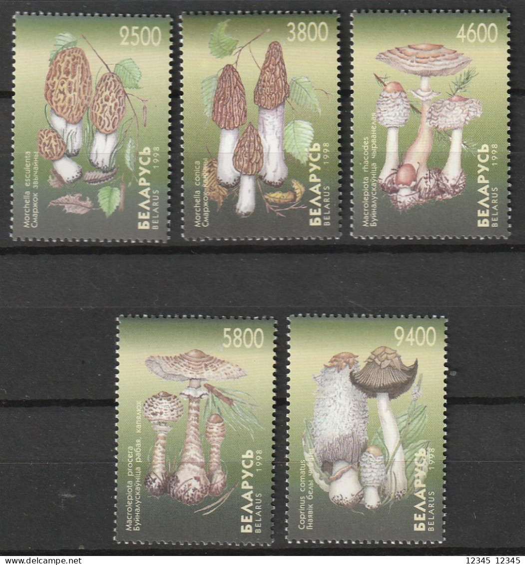 Wit Rusland 1998, Postfris MNH, Mushrooms - Bielorrusia