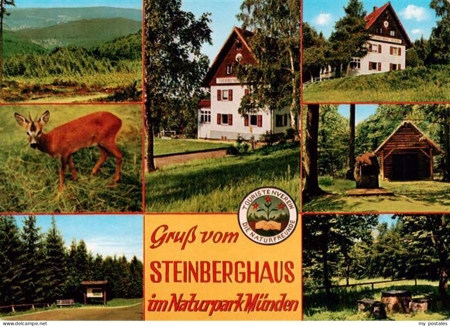 73935721 Hann._Muenden Naturfreundehaus Am Steinberg Wildpark Teilansichten - Hannoversch Münden