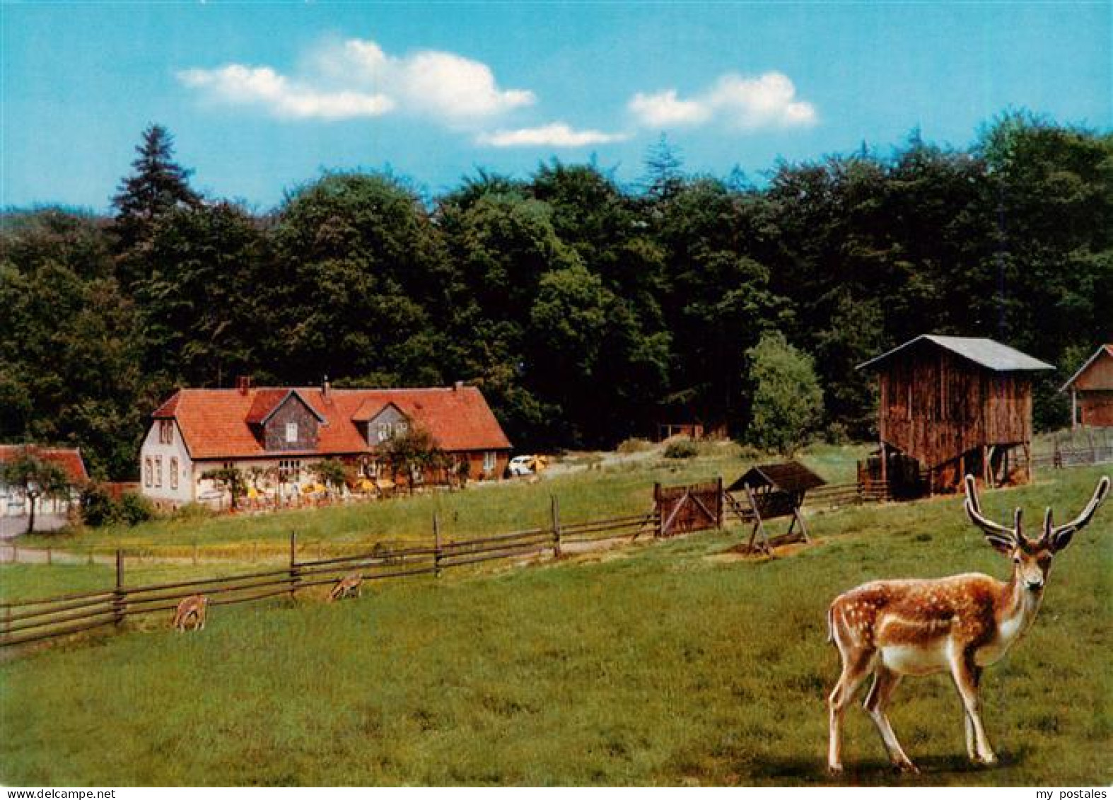 73935705 Muenden_Werra Waldgaststaette Rinderstall Wildgehege Waldmuseum - Hannoversch Muenden