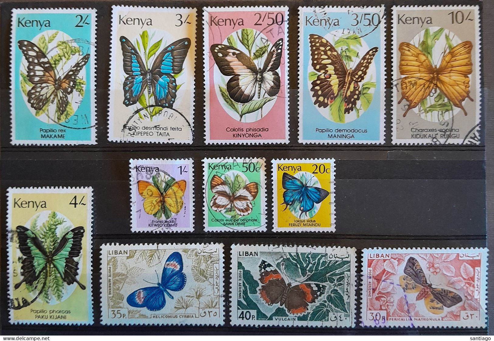 Vlinders Uit Kenia En Libanon - Mariposas