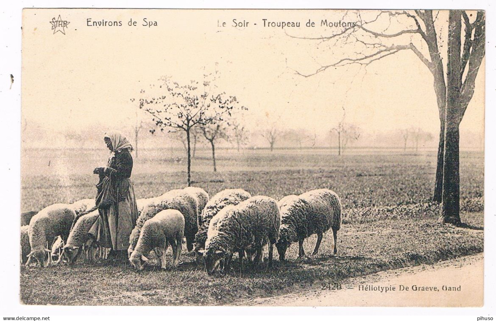 B-10006   SPA : Le Soir - Troupeau De Moutons - Spa