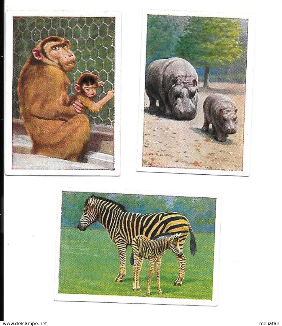 BV11 - CARTES CIGARETTES JOSETTI - ZEBRE - HIPPOPOTAME - SINGE - Autres Marques