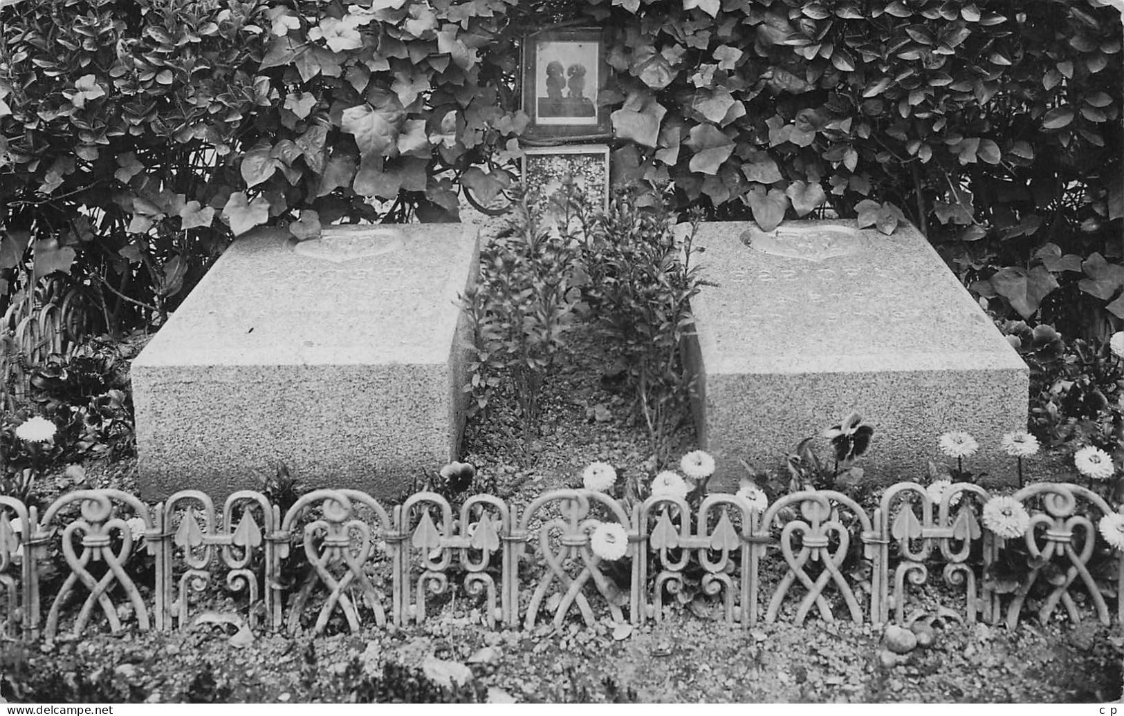 Asnieres Sur Seine - Cimetiere Des Chiens  - Carte Photo   -   CPA°J - Asnieres Sur Seine