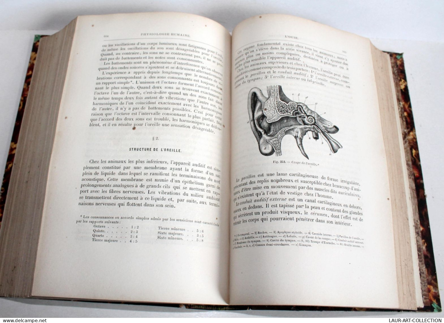 LA VIE PHYSIOLOGIE HUMAINE APPLIQUEE A L'HYGIENE & A LA MEDECINE Par LE BON 1874 / ANCIEN LIVRE XIXe SIECLE (2603.92) - Gesundheit