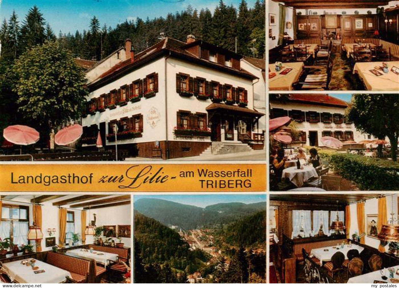 73935375 Triberg Landgasthof Zur Lilie Am Wasserfall Gastraeume Panorama Terrass - Triberg