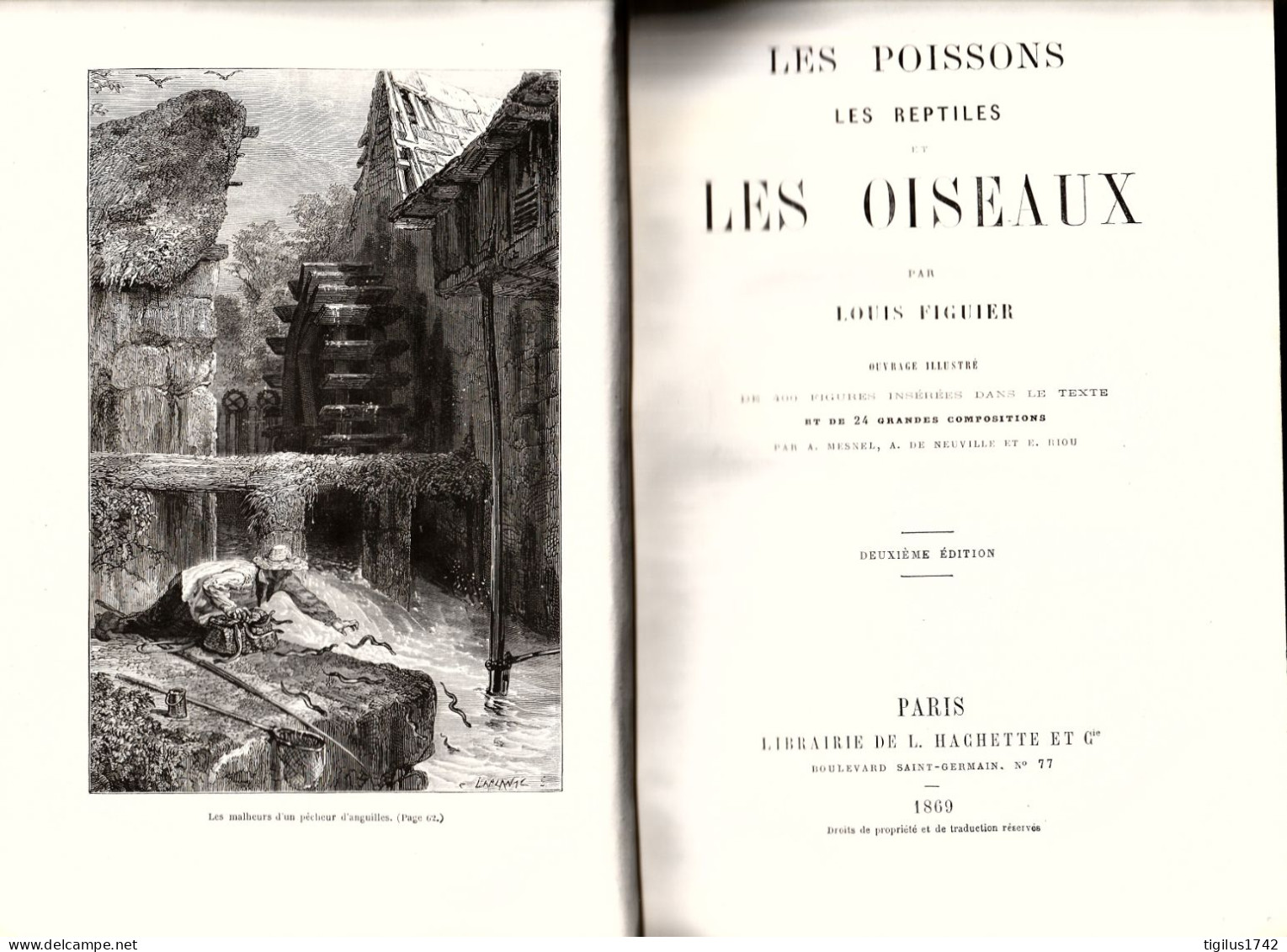 Louis Figuier. Les Poissons, Les Reptiles Et Les Oiseaux. Hachette, Paris, 1869 - 1801-1900