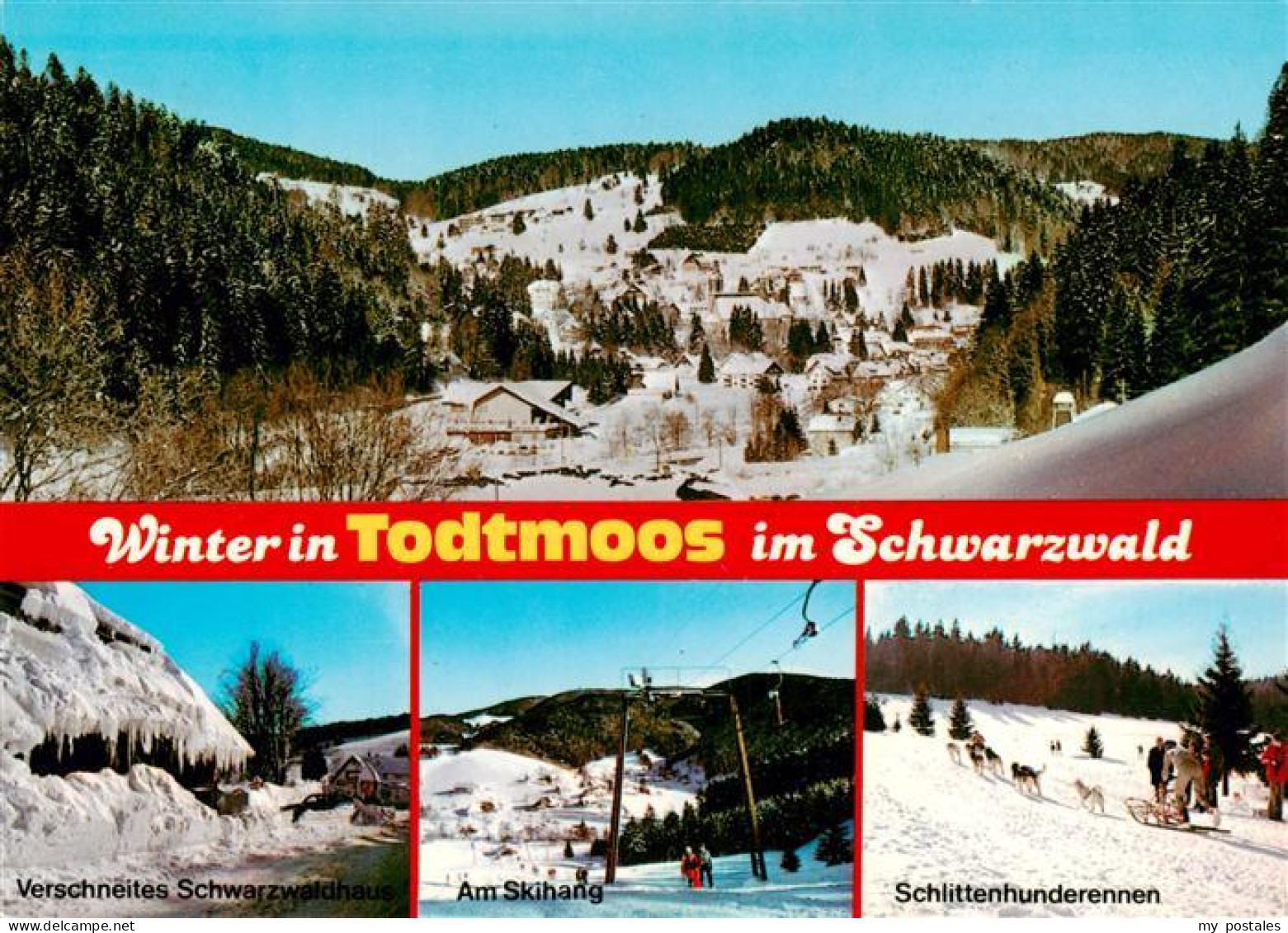 73935179 Todtmoos Panorama Verschneites Schwarzwaldhaus Am Skihang Schlittenhund - Todtmoos