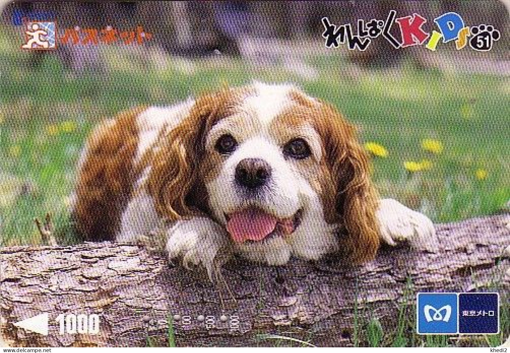 Carte Prépayée JAPON / Série KIDS 2 - ANIMAL - Chien CAVALIER KING CHARLES : 51/51 - DOG JAPAN Metro Card - HUND - 1265 - Honden