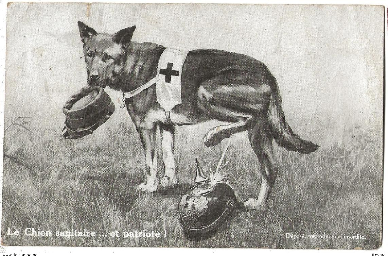 Le Chien Sanitaire Et Patriote - Andere & Zonder Classificatie