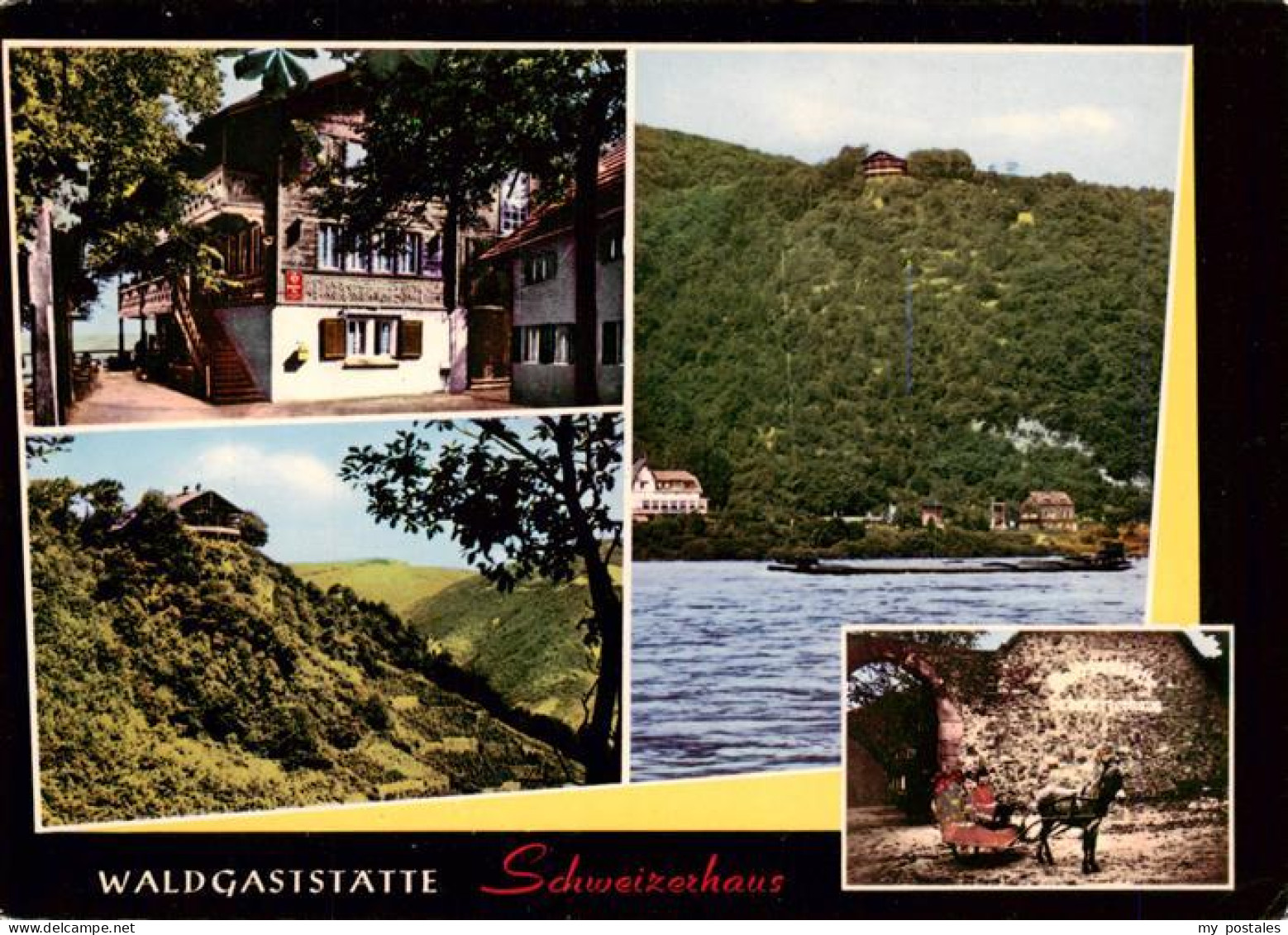 73935992 Assmannshausen_Rhein Waldgaststaette Schweizerhaus Panorama Schlitten - Ruedesheim A. Rh.