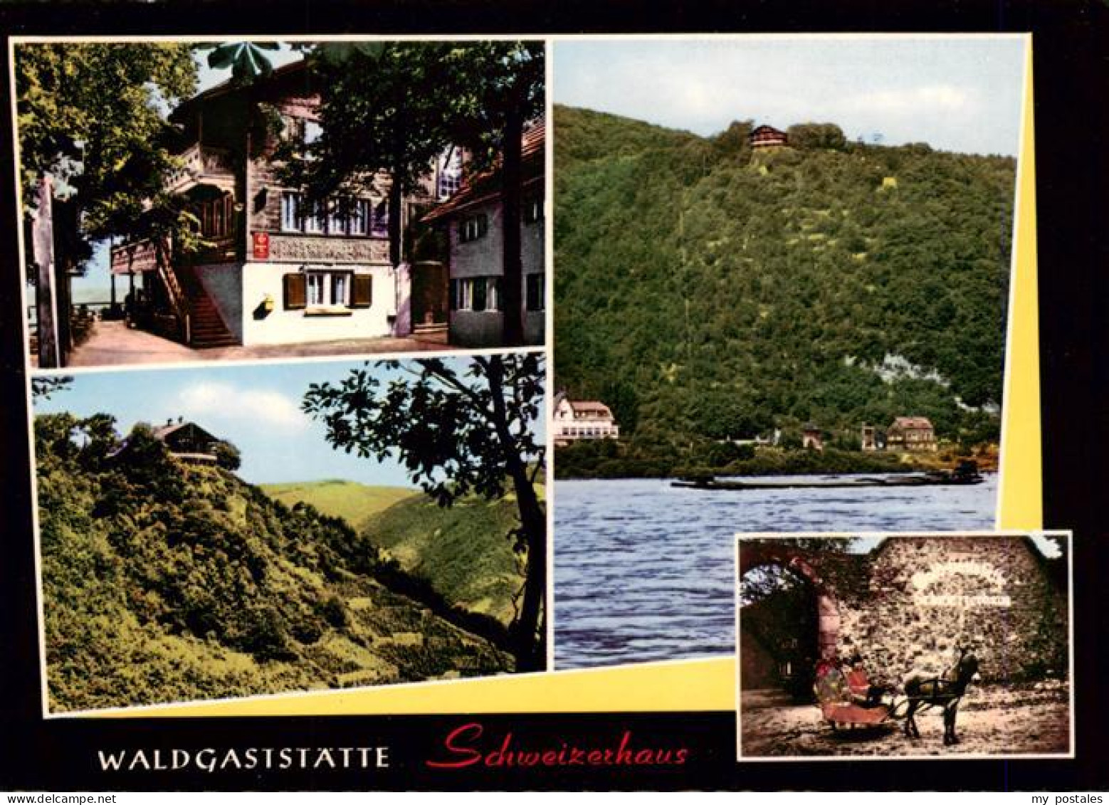 73935980 Assmannshausen_Rhein Waldgaststaette Schweizerhaus Panorama Schlittenfa - Rüdesheim A. Rh.