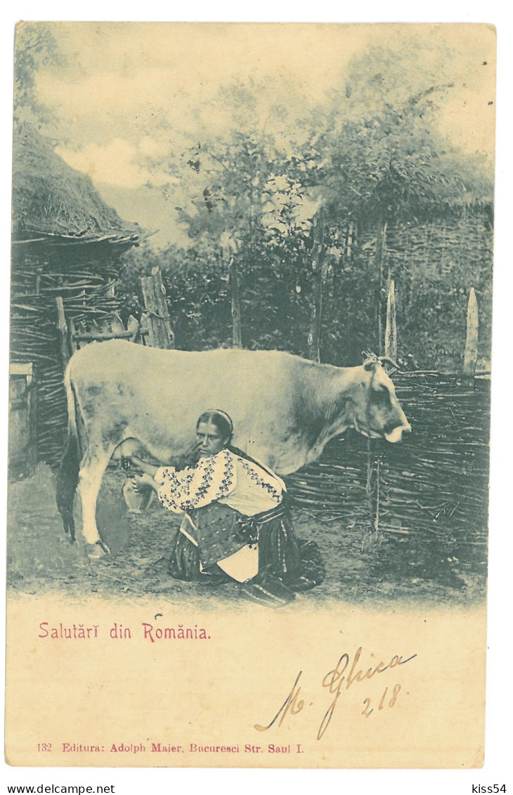 RO 09 - 16212 ETHNIC Woman, Country Life, Litho, Romania - Old Postcard - Used - 1900 - Roemenië