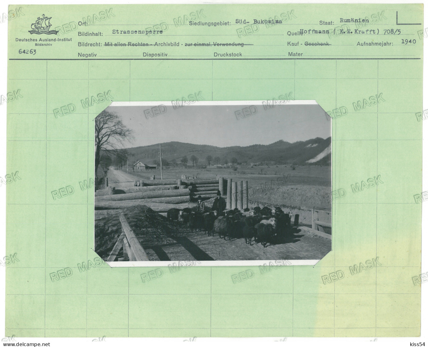 RO 09 - 20940 UNICAT, BUCOVINA-de-SUD, Shepherd, Cartoteca Al III Reich 29/24 Cm - Old Press Photo 17/12 Cm - 1940 - Roumanie