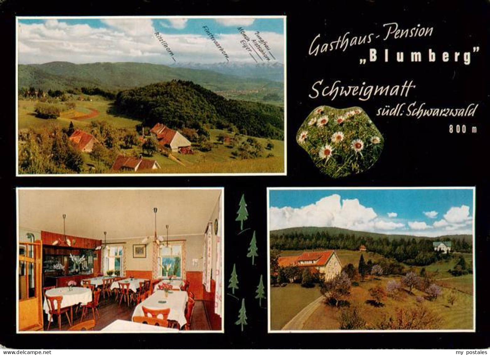 73935163 Schweigmatt_Schopfheim Gasthaus Pension Blumberg Panorama Gastraum - Schopfheim