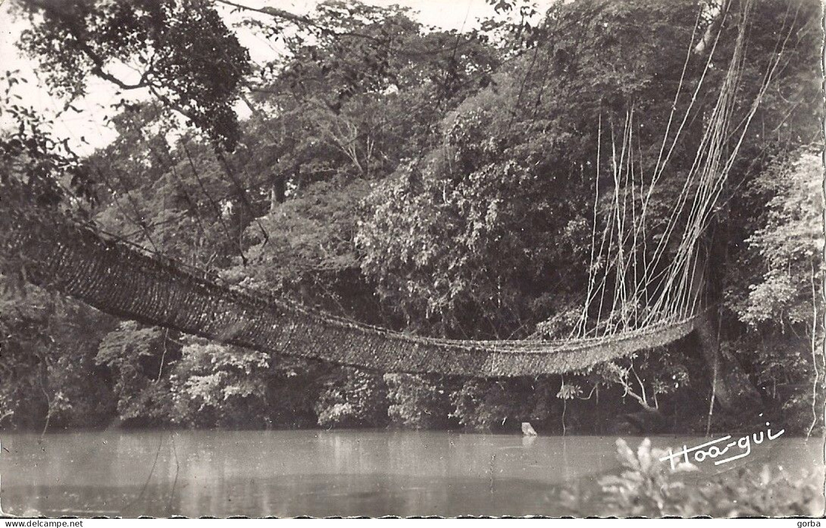 *AOF CPSM   Pont De Lianes  Particularité Il Est  Timbré Avec N° 228 Y.T De AEF (voir Scan) - Zonder Classificatie