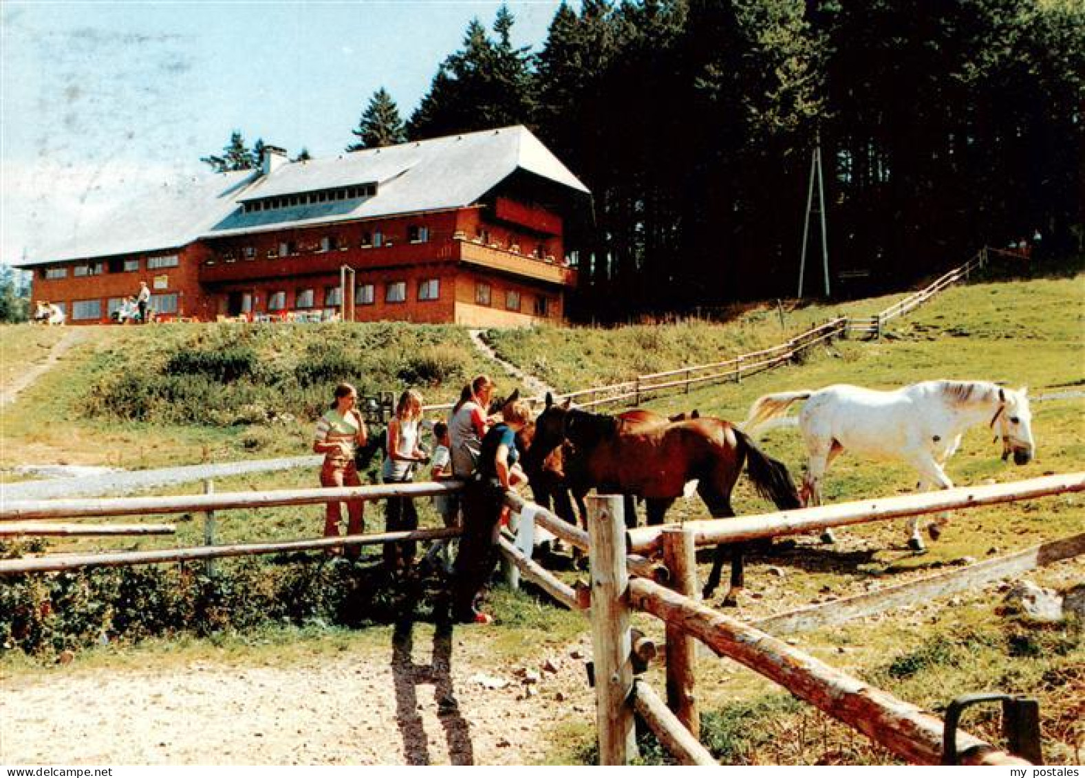 73935152 Geschwend_Todtnau_Baden Berggasthof Gisiboden Pferdekoppel - Todtnau
