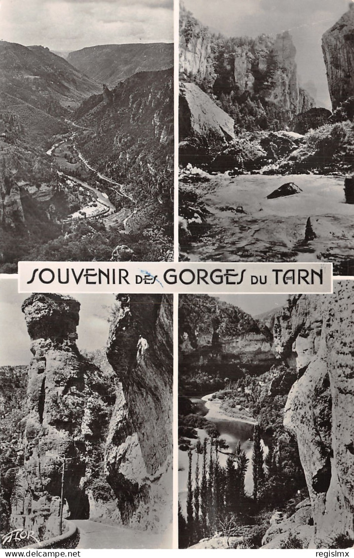 48-LES GORGES DU TARN-N°T2250-D/0225 - Villefort