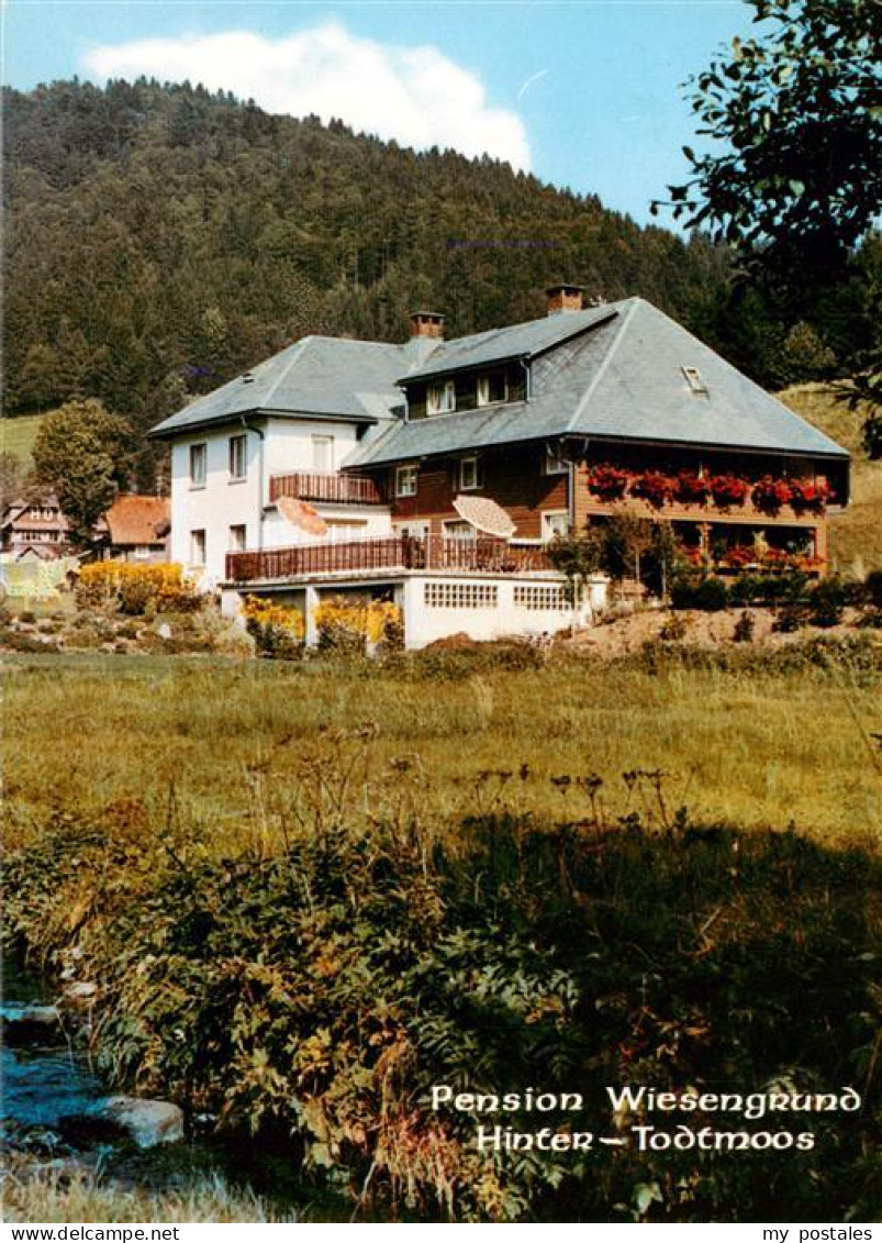 73935021 Hintertodtmoos Pension Wiesengrund - Todtmoos