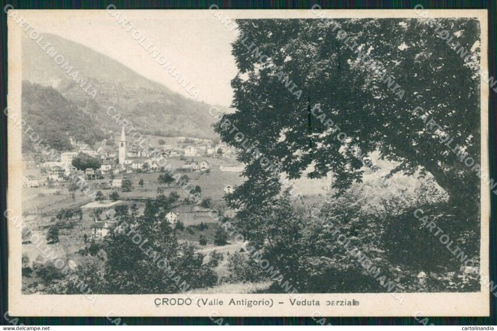 Verbania Crodo Cartolina KV1931 - Verbania