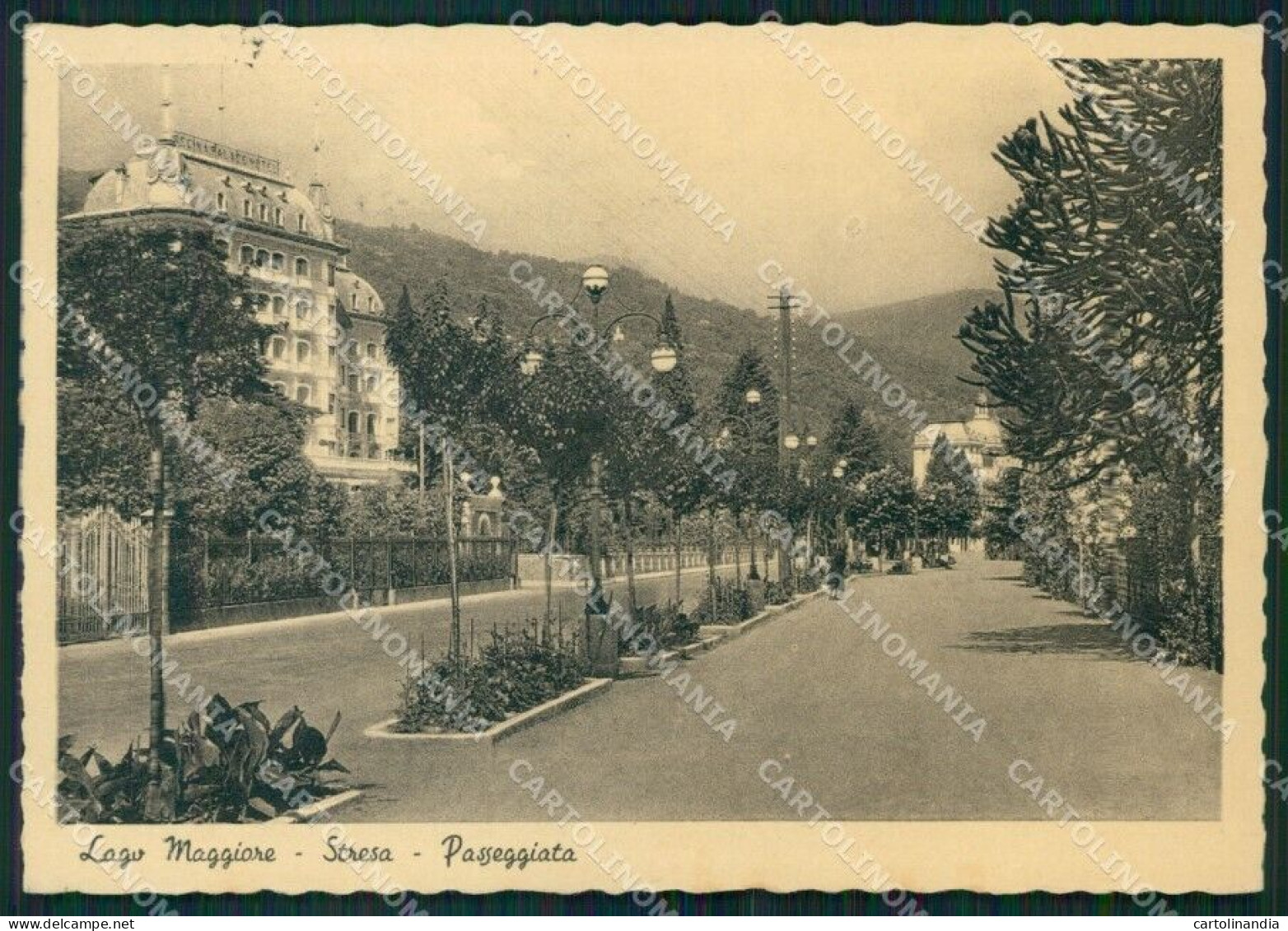 Verbania Stresa Lago Maggiore FG Cartolina HB4628 - Verbania