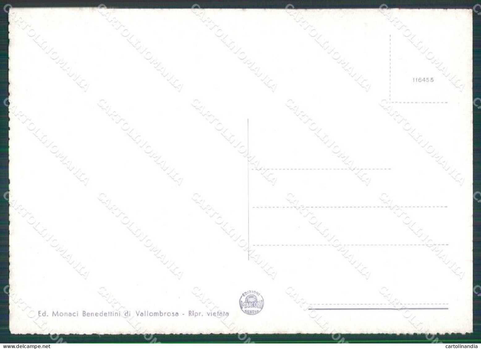 Firenze Reggello Vallombrosa FG Cartolina HB4634 - Firenze