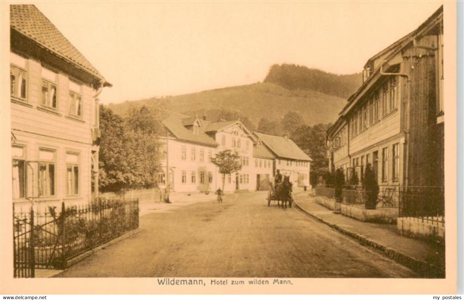 73934633 Wildemann_Harz Hotel Zum Wilden Mann Pferdefuhrwerk - Wildemann