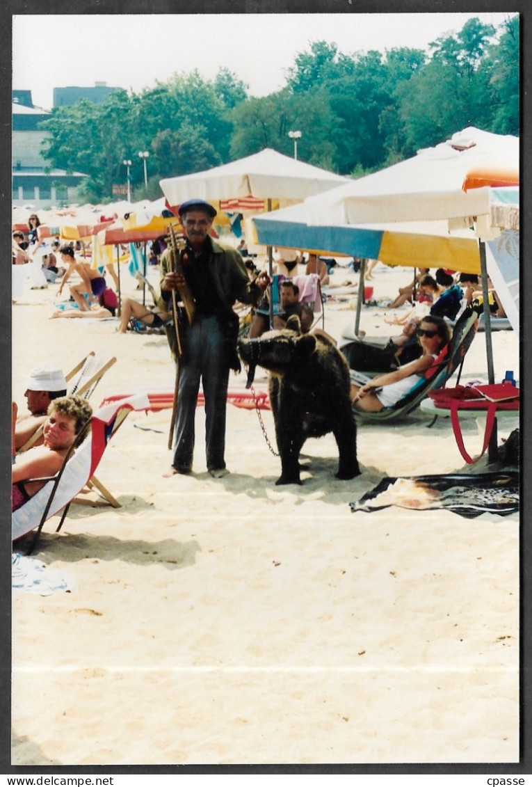 PHOTO Photographie (Bulgarie Bulgaria) Montreur D'Ours Violoniste Sur La Plage - Professions