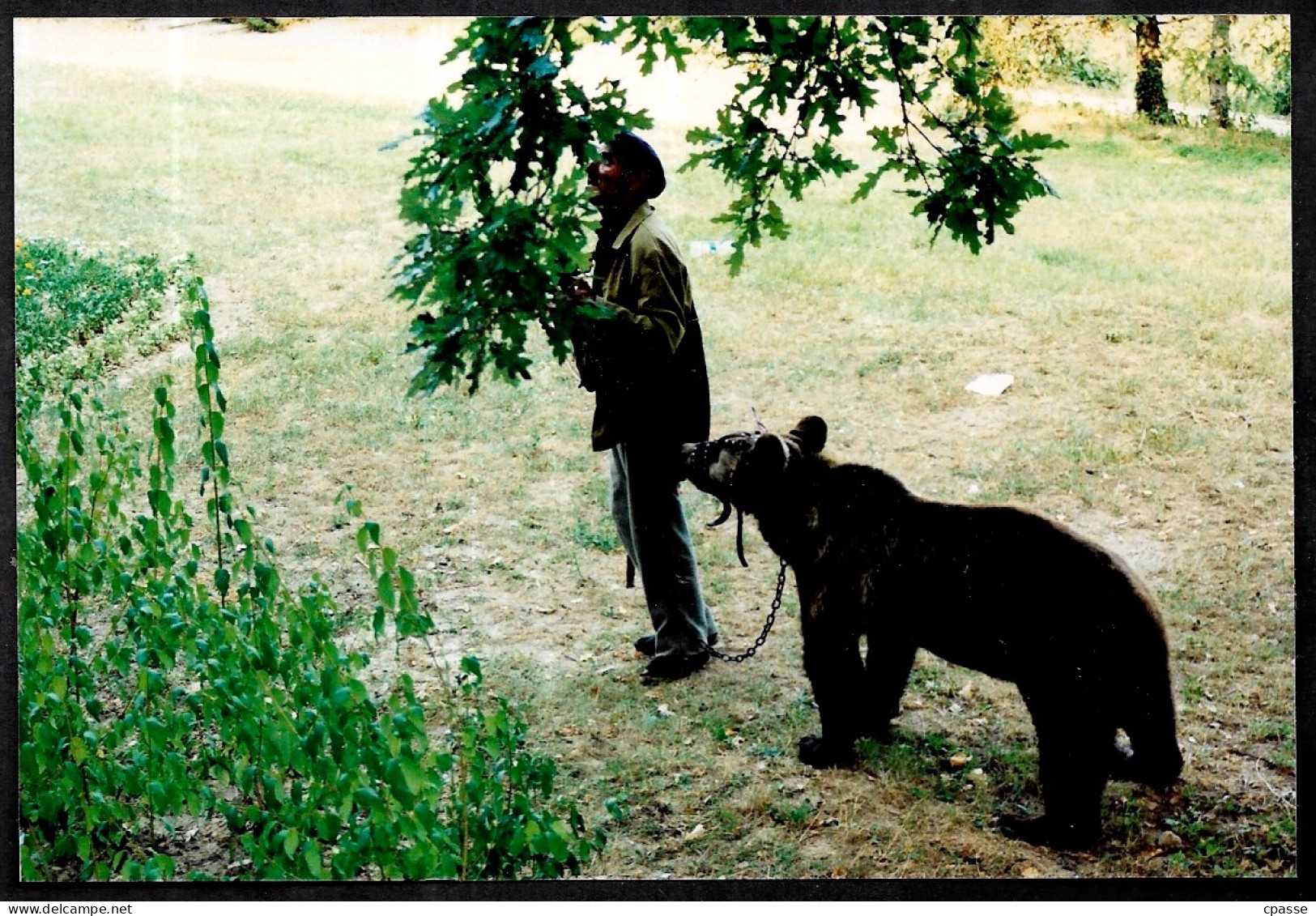 PHOTO Photographie (Bulgarie Bulgaria) Montreur D'Ours Violoniste - Métiers