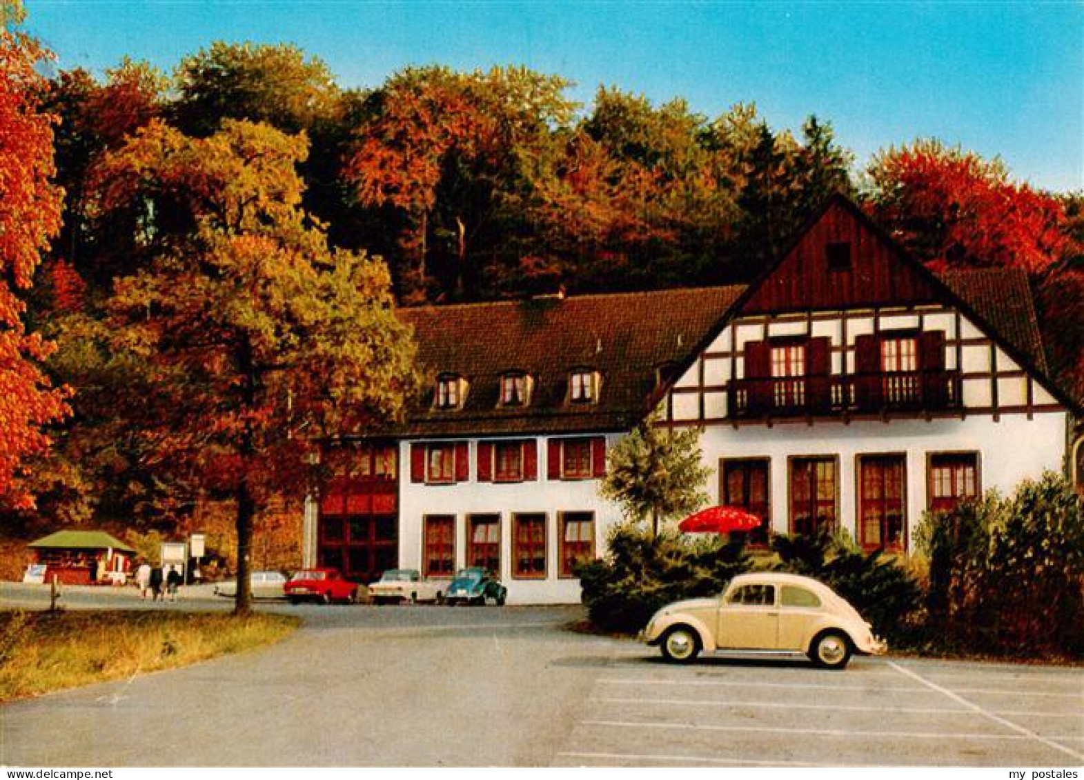 73934497 Warstein Waldhotel Tropfsteinhoehle Wlldgehege - Warstein