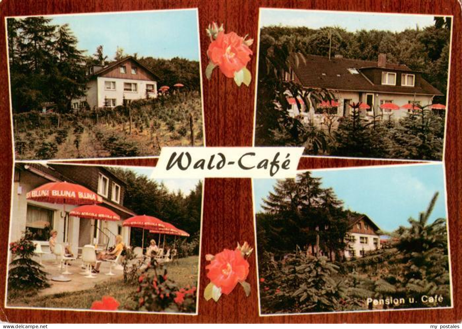 73934160 Bad_Lippspringe Wald Cafe Terrasse Pension - Bad Lippspringe