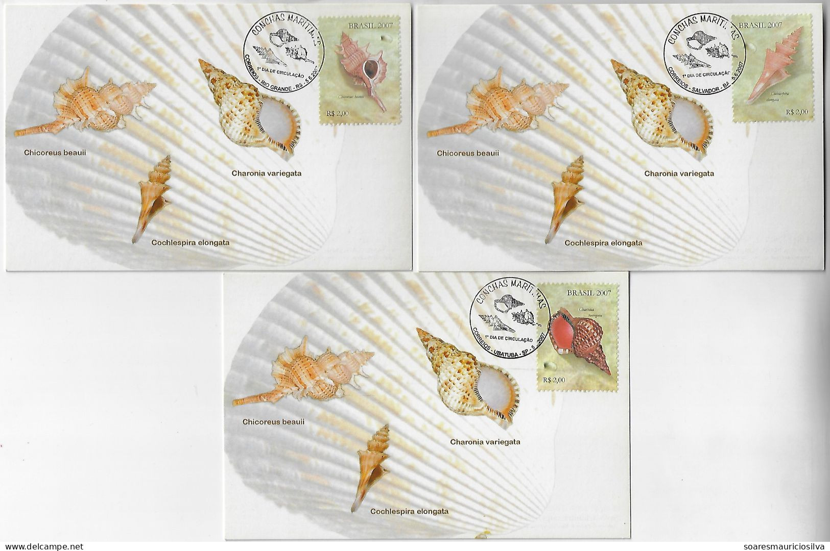 Brazil 2007 Complete Series 3 Maximum Card Fauna Animal Invertebrate Shell Mollusk Marine Life - Coquillages