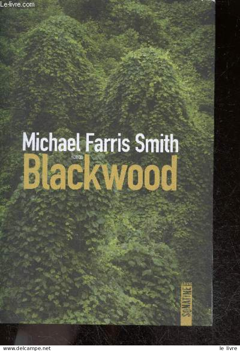 Blackwood - Roman - Michael Farris Smith, Fabrice Pointeau (Trad) - 2021 - Autres & Non Classés