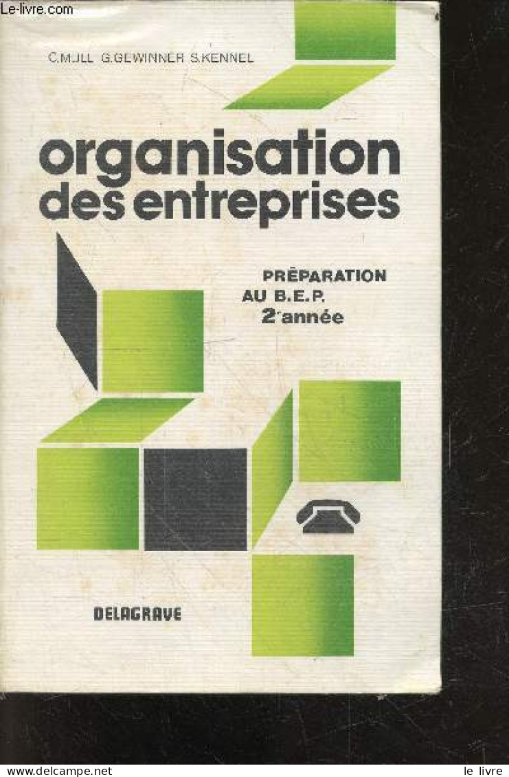 Organisation Des Entreprises - Preparation Au BEP Brevet D'etudes Professionnelles, 2e Annee, Agent Administratif, Comme - Non Classés