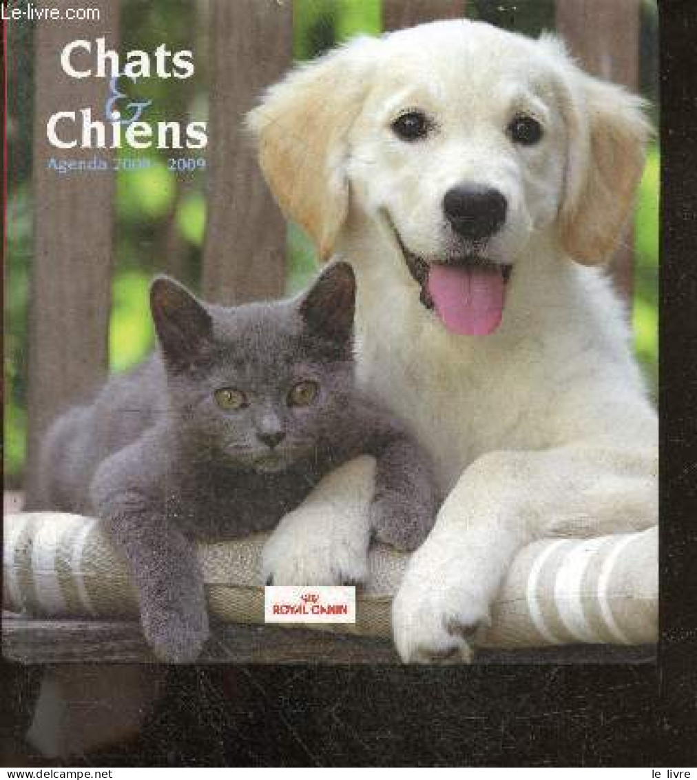 Chats & Chiens - Agenda 2008 / 2009 - LANGELLIER ELISE- ROLLAND GUY- COLLECTIF - 2008 - Agenda Vírgenes