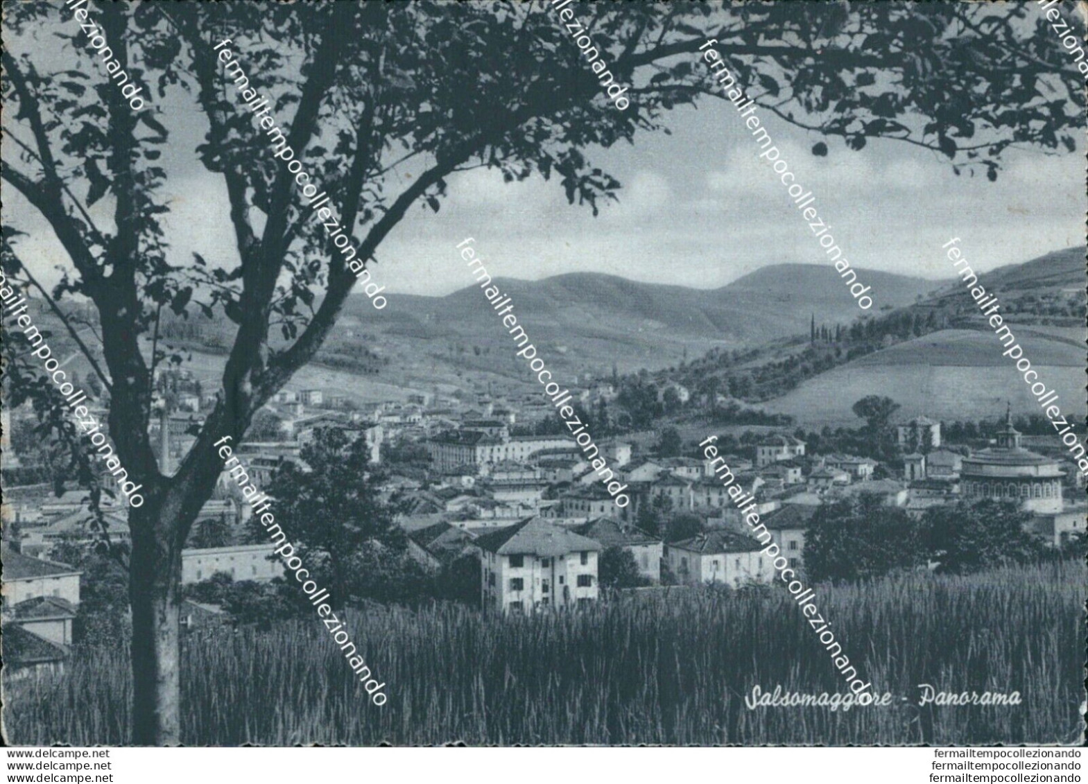 Bi413 Cartolina Salsomaggiore Panorama Provincia Di Parma - Parma