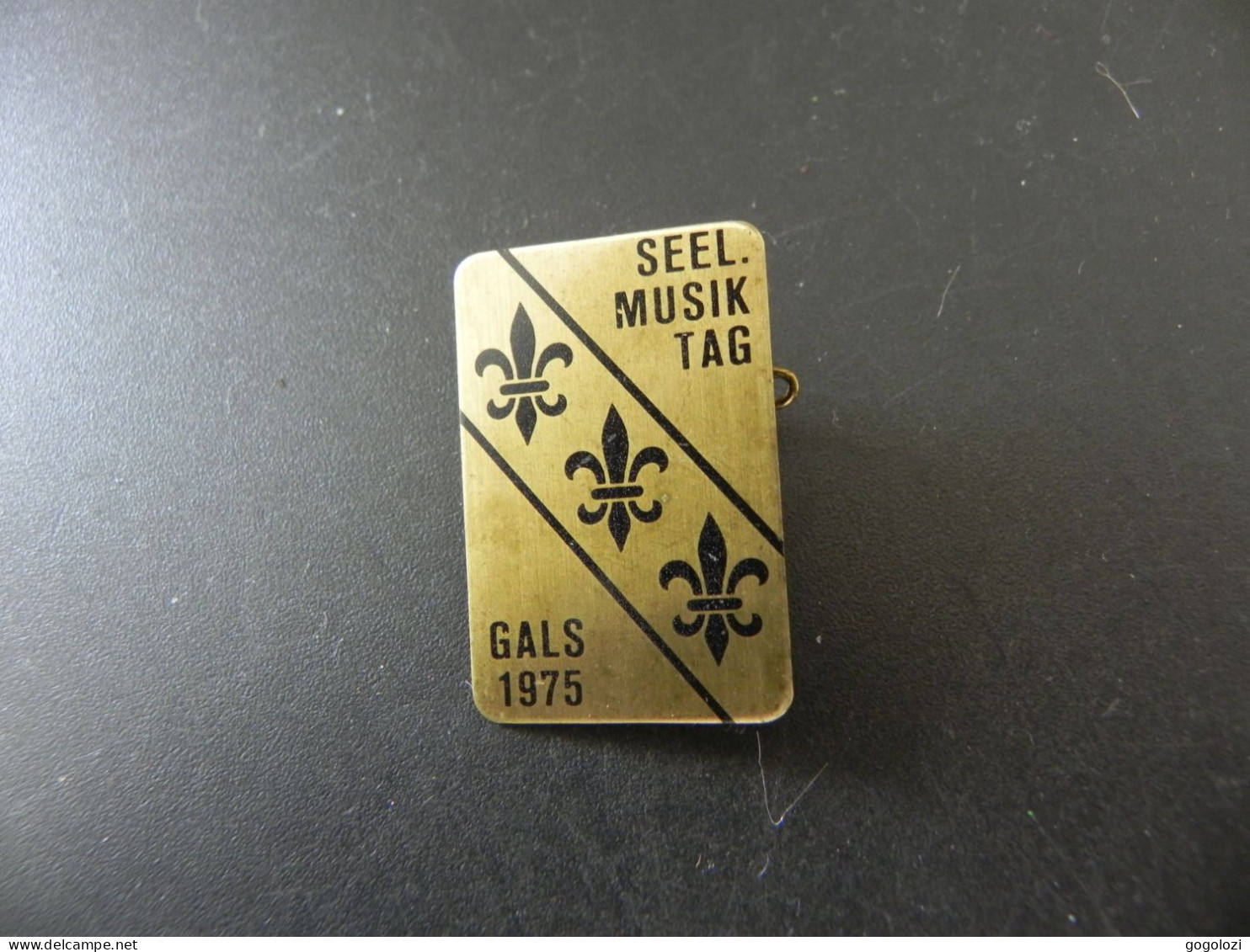 Old Badge Schweiz Suisse Svizzera Switzerland - Seeländischer Musik Tag Gals 1975 - Unclassified