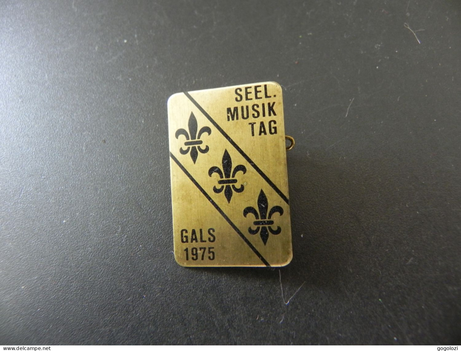 Old Badge Schweiz Suisse Svizzera Switzerland - Seeländischer Musik Tag Gals 1975 - Non Classificati