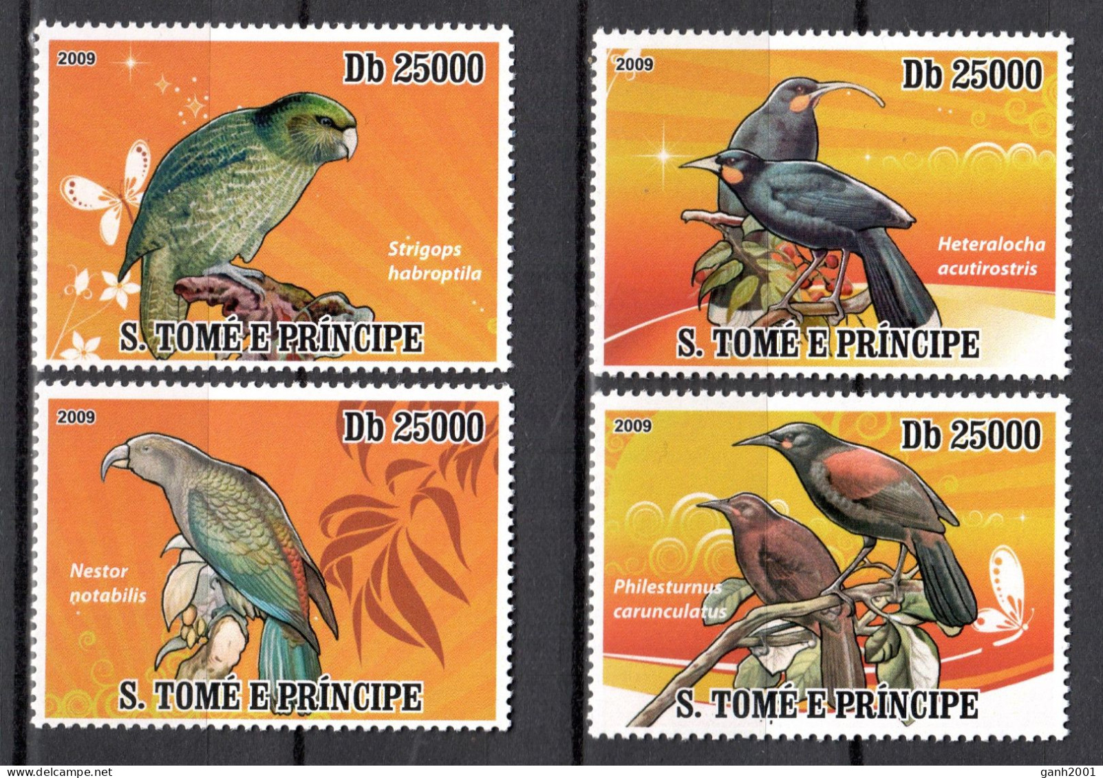 Sao Tome & Principe 2009 / Birds MNH Aves Oiseaux Vögel Ucelli / Cu21837  38-19 - Sonstige & Ohne Zuordnung