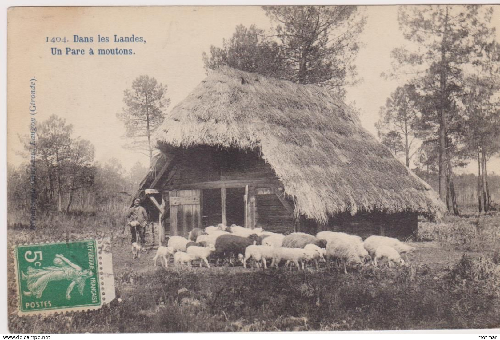 Landes, Un Parc De Moutons - Other & Unclassified